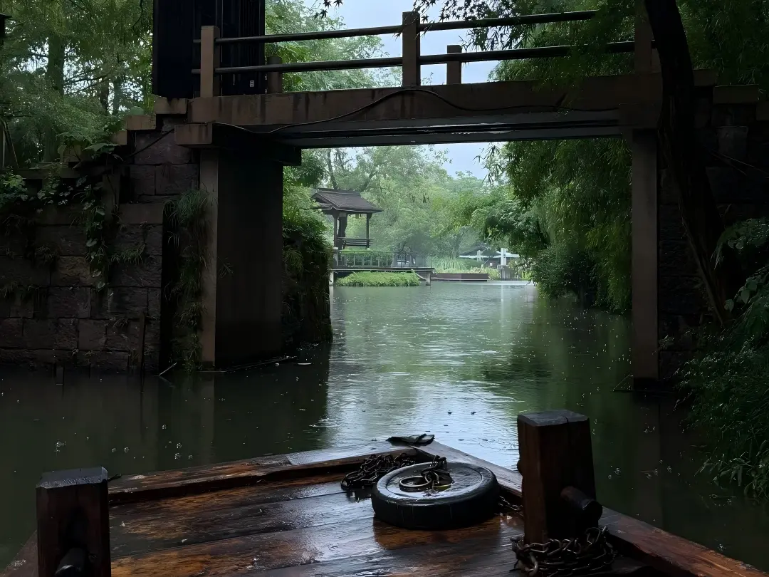 Xixi Wetland Water Scene in Hangzhou