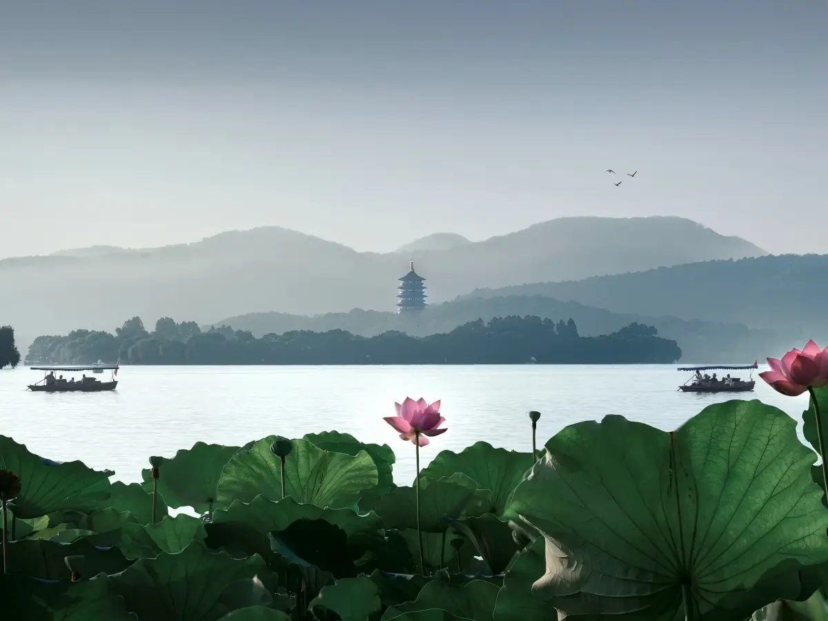 West Lake Lotus and Leifeng Pagoda