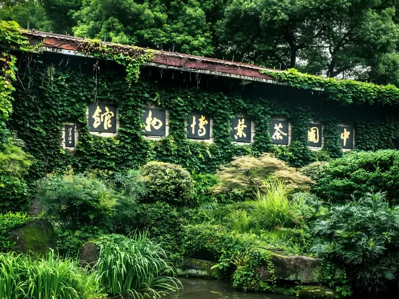 China National Tea Museum