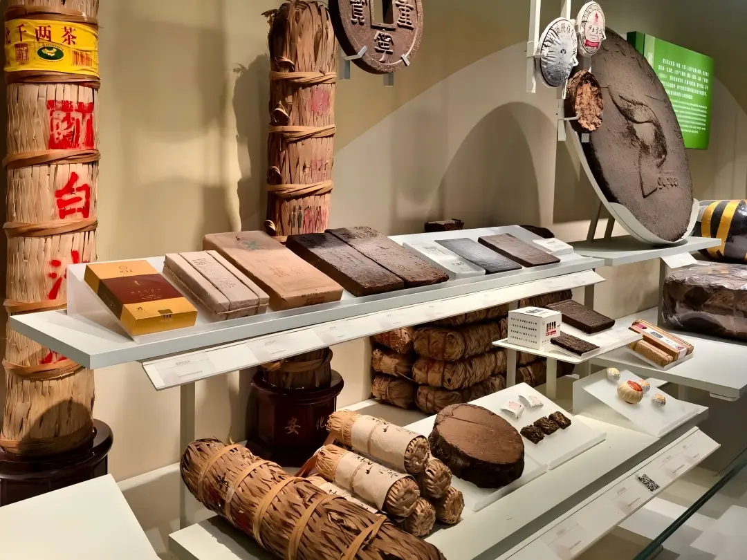 Ancient Tea Exhibits at China National Tea Museum